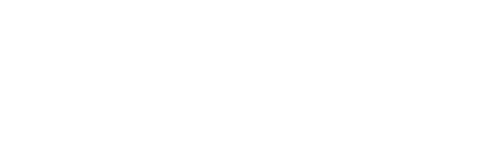 BALI DREAM INK